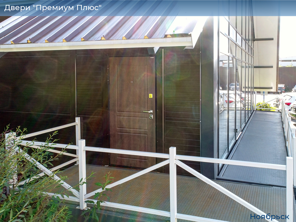 Двери "Премиум Плюс", 