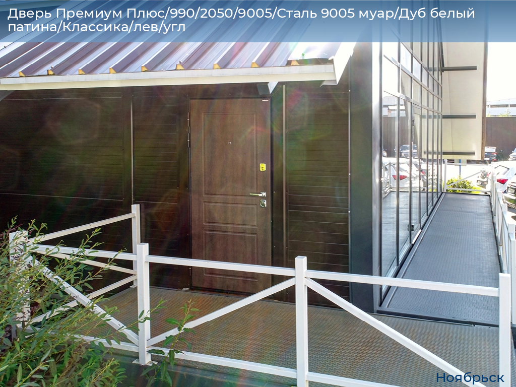 Дверь Премиум Плюс/990/2050/9005/Сталь 9005 муар/Дуб белый патина/Классика/лев/угл, 