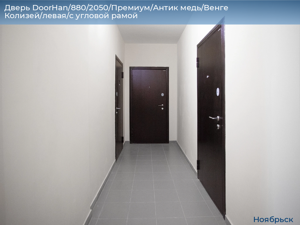 Дверь DoorHan/880/2050/Премиум/Антик медь/Венге Колизей/левая/с угловой рамой, 