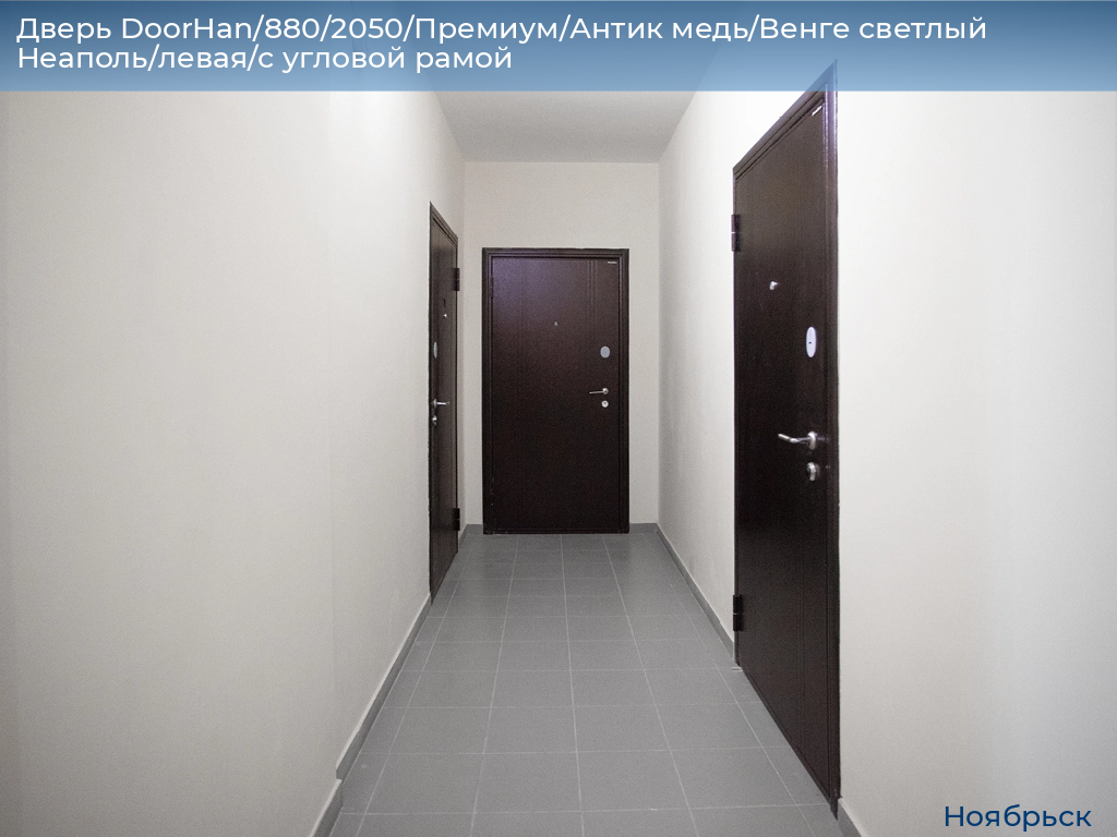 Дверь DoorHan/880/2050/Премиум/Антик медь/Венге светлый Неаполь/левая/с угловой рамой, 