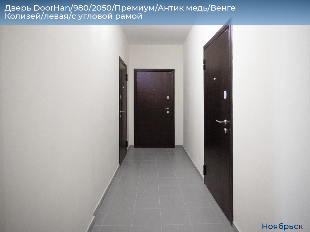 Дверь DoorHan/980/2050/Премиум/Антик медь/Венге Колизей/левая/с угловой рамой, 