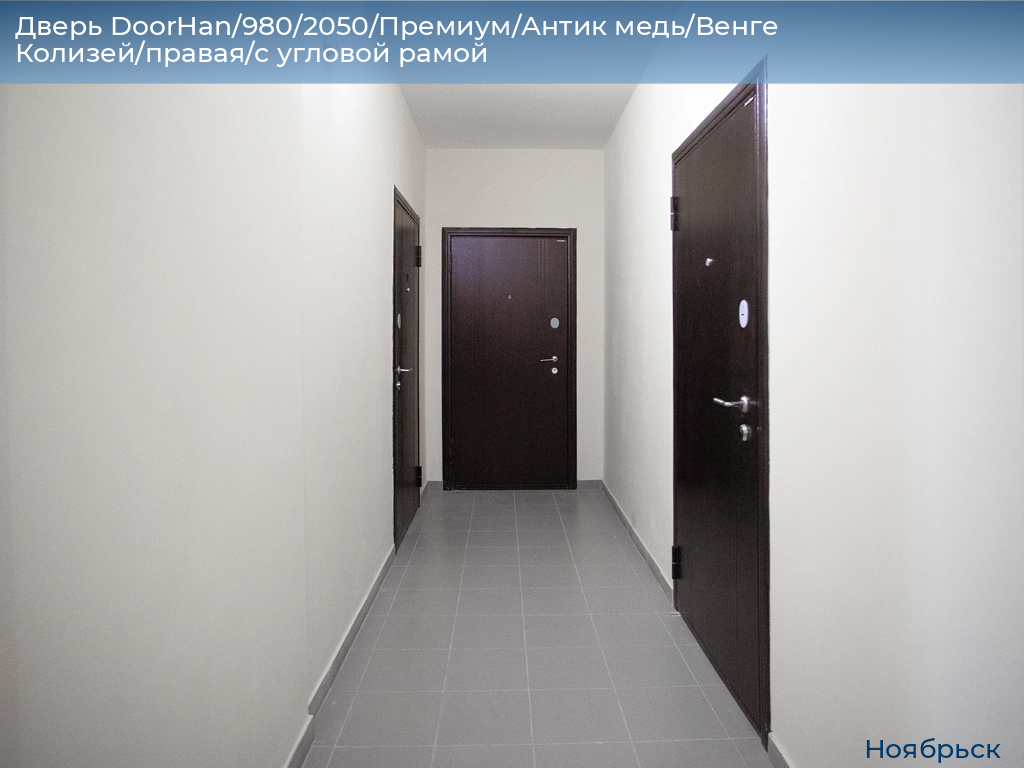 Дверь DoorHan/980/2050/Премиум/Антик медь/Венге Колизей/правая/с угловой рамой, 