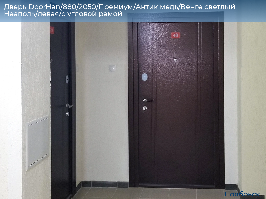 Дверь DoorHan/880/2050/Премиум/Антик медь/Венге светлый Неаполь/левая/с угловой рамой, 