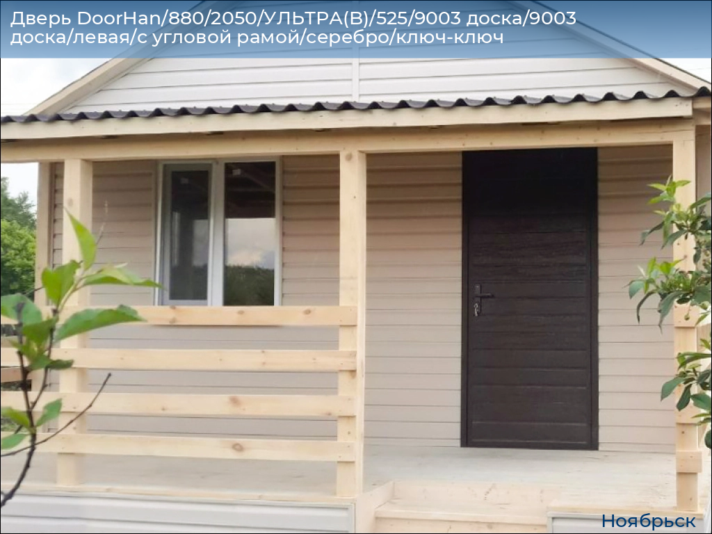 Дверь DoorHan/880/2050/УЛЬТРА(B)/525/9003 доска/9003 доска/левая/с угловой рамой/серебро/ключ-ключ, 