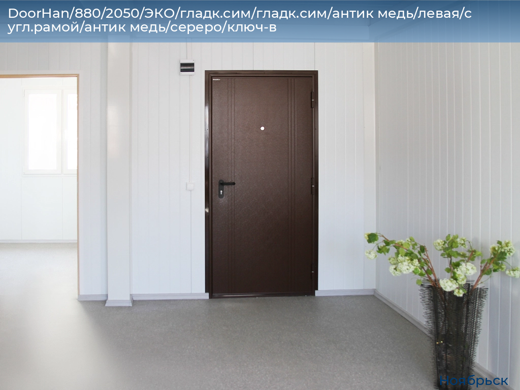 DoorHan/880/2050/ЭКО/гладк.сим/гладк.сим/антик медь/левая/с угл.рамой/антик медь/сереро/ключ-в, 