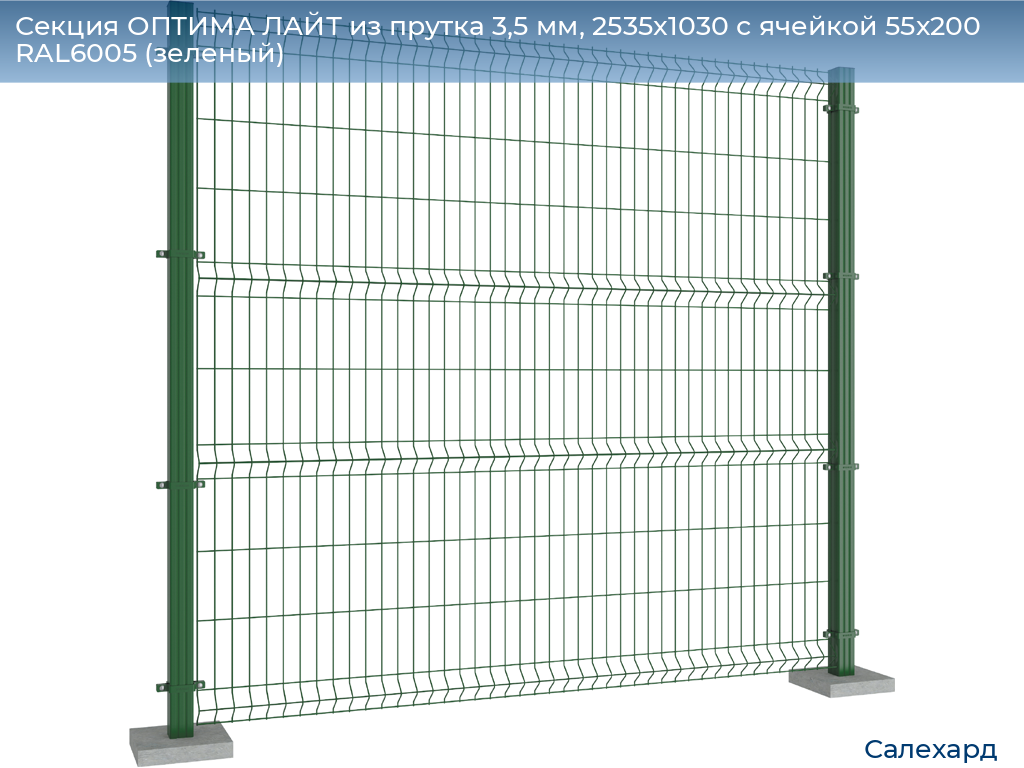 Секция ОПТИМА ЛАЙТ из прутка 3,5 мм, 2535x1030 с ячейкой 55х200 RAL6005 (зеленый), salekhard.doorhan.ru