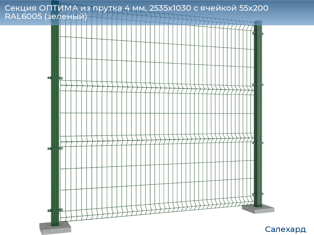 Секция ОПТИМА из прутка 4 мм, 2535x1030 с ячейкой 55х200 RAL6005 (зеленый), salekhard.doorhan.ru