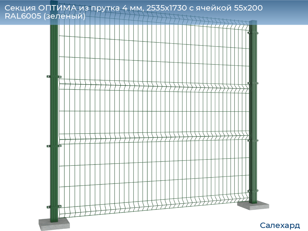 Секция ОПТИМА из прутка 4 мм, 2535x1730 с ячейкой 55х200 RAL6005 (зеленый), salekhard.doorhan.ru