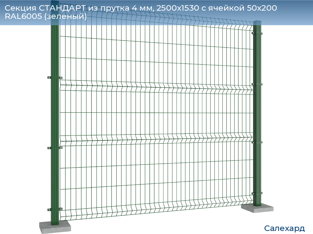 Секция СТАНДАРТ из прутка 4 мм, 2500x1530 с ячейкой 50х200 RAL6005 (зеленый), salekhard.doorhan.ru