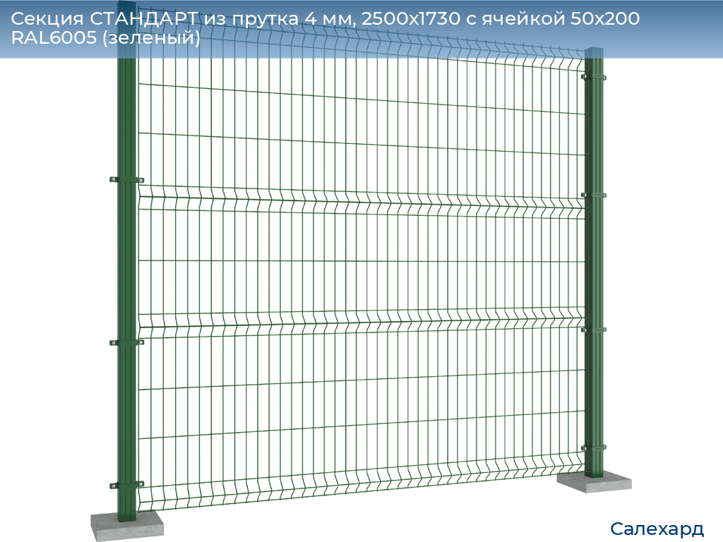 Секция СТАНДАРТ из прутка 4 мм, 2500x1730 с ячейкой 50х200 RAL6005 (зеленый) , salekhard.doorhan.ru