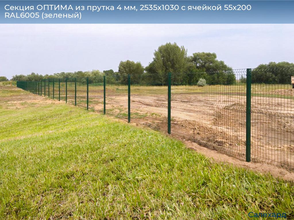 Секция ОПТИМА из прутка 4 мм, 2535x1030 с ячейкой 55х200 RAL6005 (зеленый), salekhard.doorhan.ru