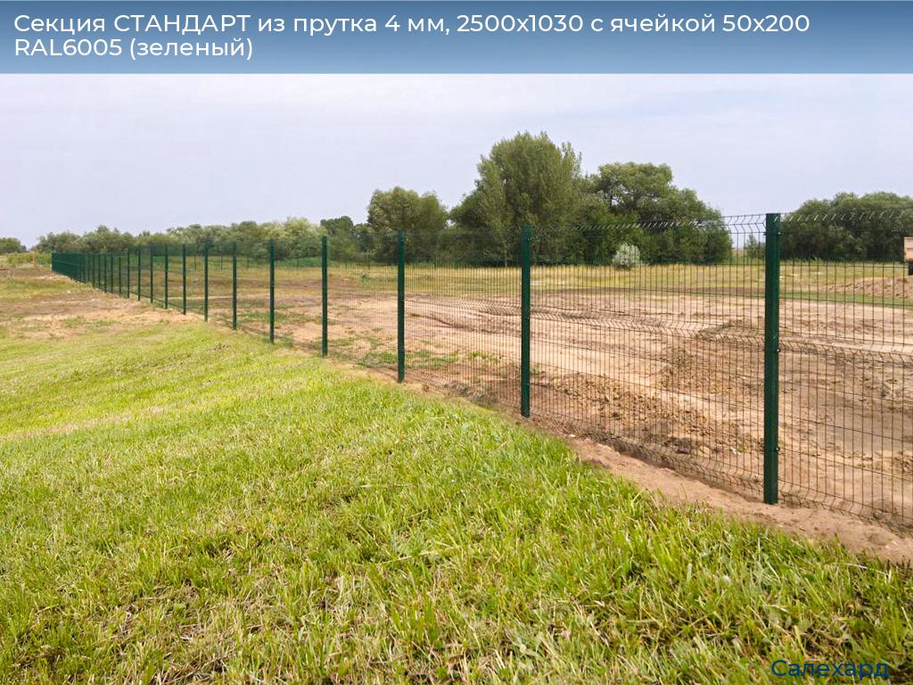 Секция СТАНДАРТ из прутка 4 мм, 2500x1030 с ячейкой 50х200 RAL6005 (зеленый), salekhard.doorhan.ru