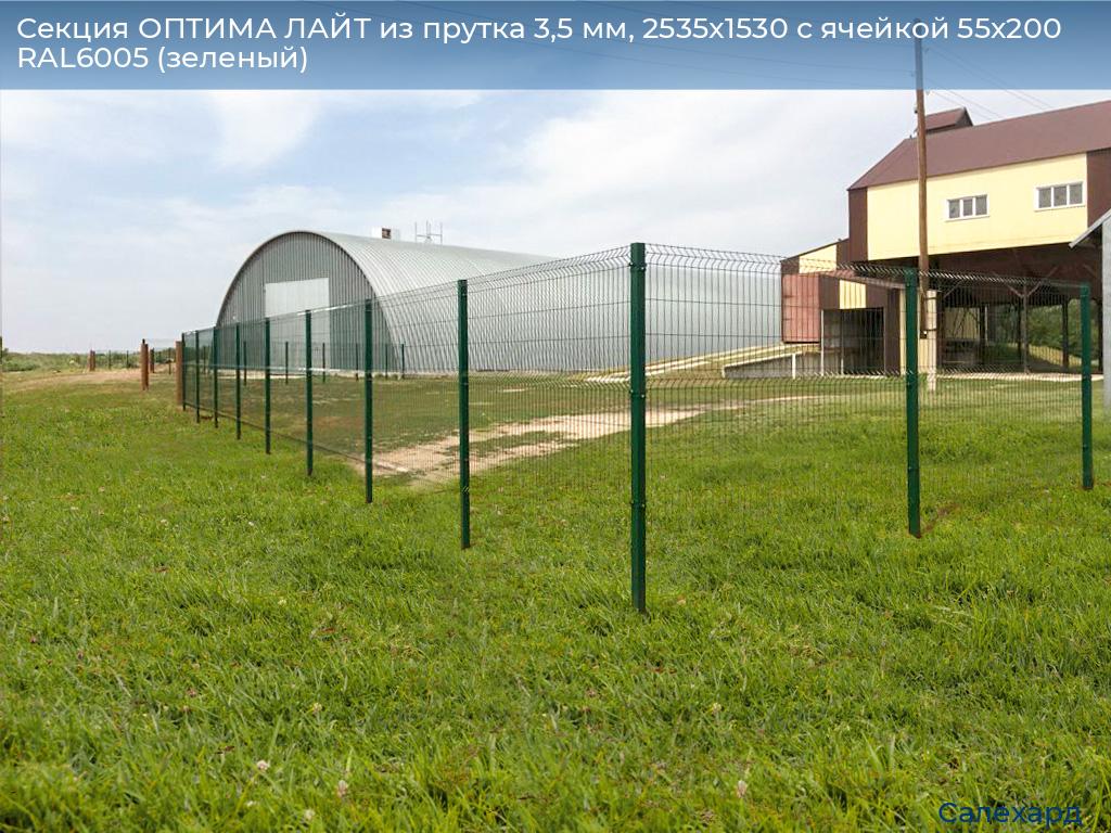 Секция ОПТИМА ЛАЙТ из прутка 3,5 мм, 2535x1530 с ячейкой 55х200 RAL6005 (зеленый), salekhard.doorhan.ru