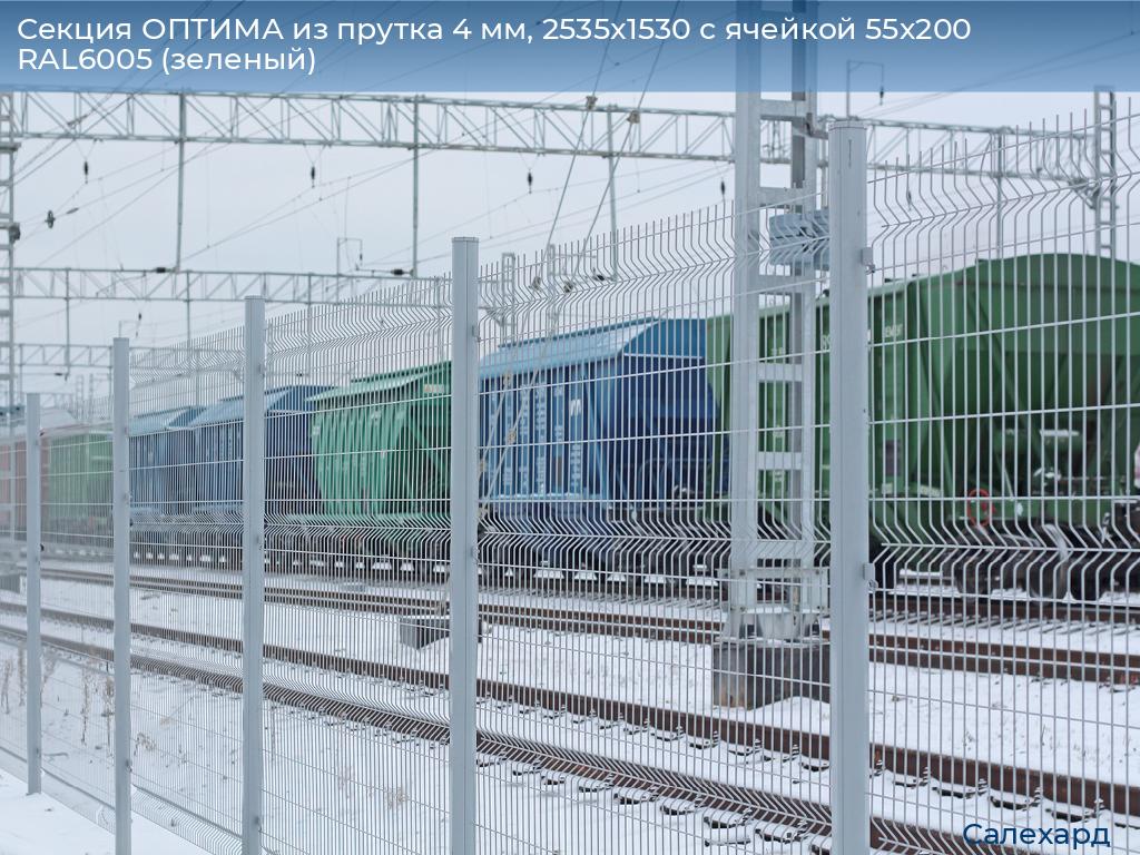 Секция ОПТИМА из прутка 4 мм, 2535x1530 с ячейкой 55х200 RAL6005 (зеленый), salekhard.doorhan.ru