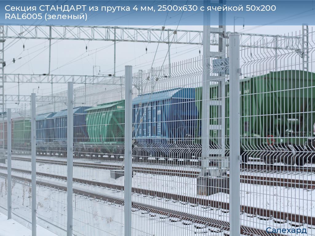Секция СТАНДАРТ из прутка 4 мм, 2500x630 с ячейкой 50х200 RAL6005 (зеленый), salekhard.doorhan.ru