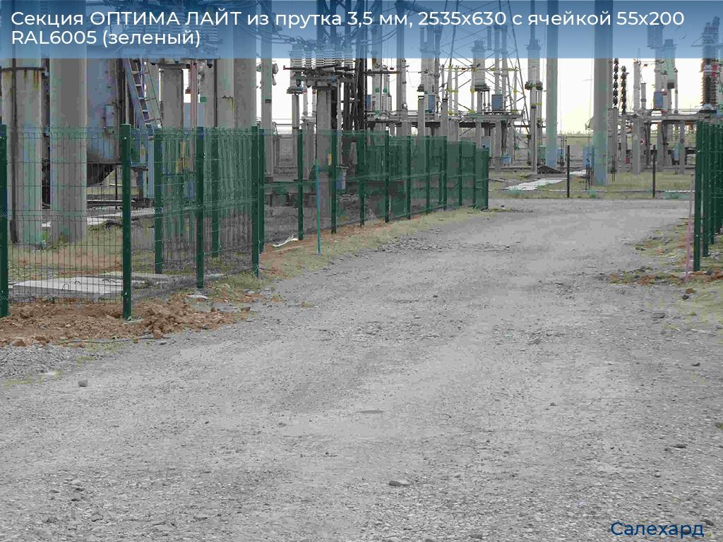 Секция ОПТИМА ЛАЙТ из прутка 3,5 мм, 2535x630 с ячейкой 55х200 RAL6005 (зеленый), salekhard.doorhan.ru