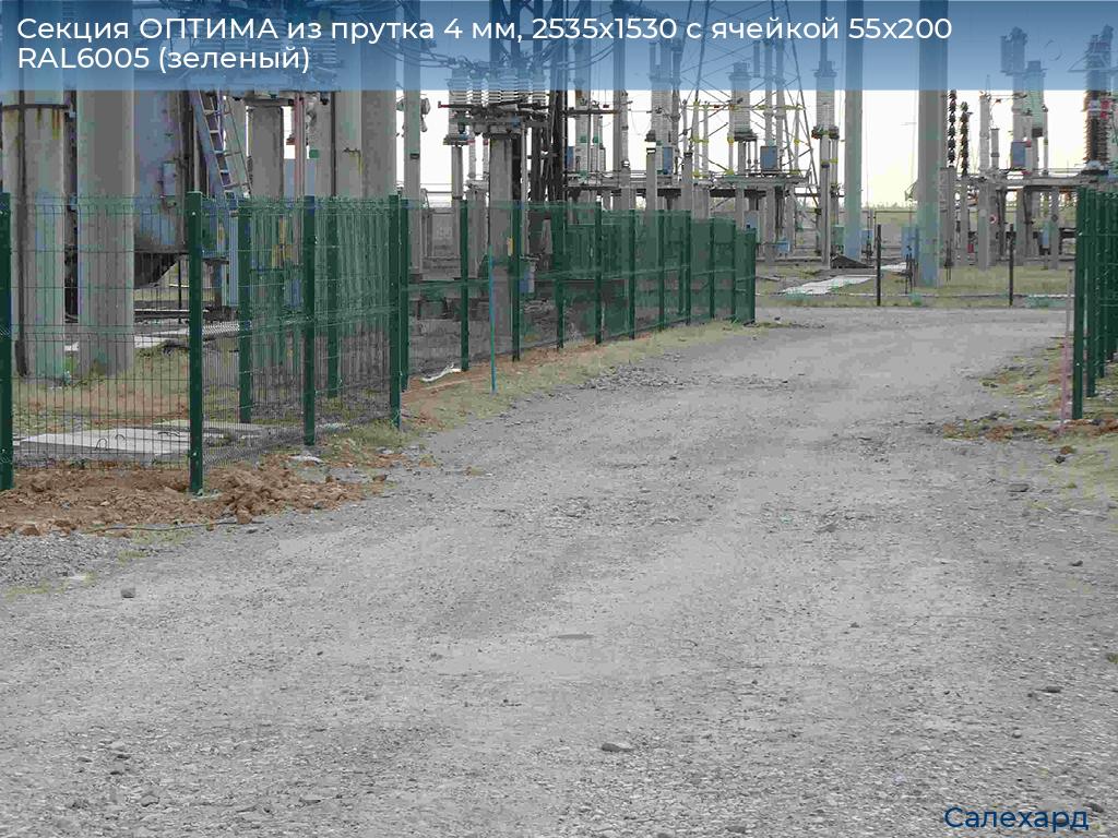 Секция ОПТИМА из прутка 4 мм, 2535x1530 с ячейкой 55х200 RAL6005 (зеленый), salekhard.doorhan.ru