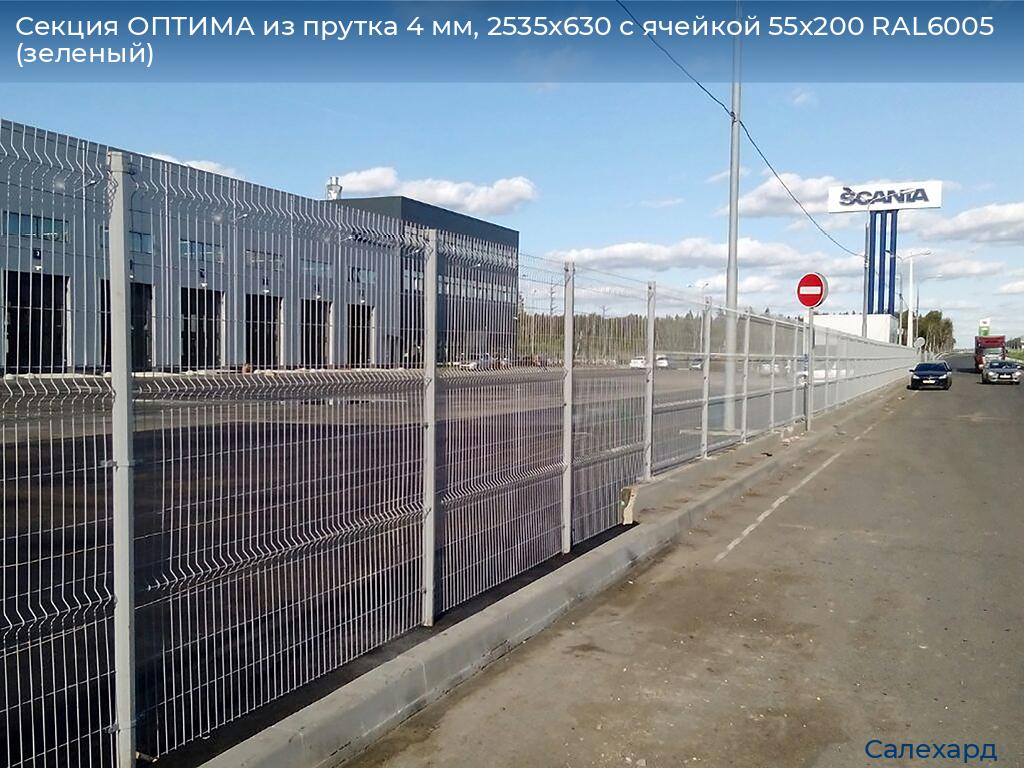 Секция ОПТИМА из прутка 4 мм, 2535x630 с ячейкой 55х200 RAL6005 (зеленый), salekhard.doorhan.ru